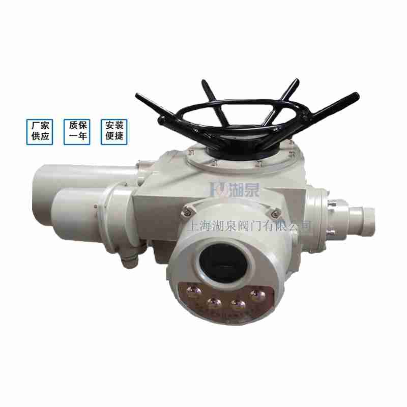 閥門電動裝置（dzw05,10,20，30,45,60，90,12