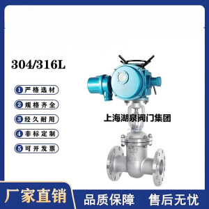 Z941W-16P，DN250，CF8/F304不銹鋼電動閘閥