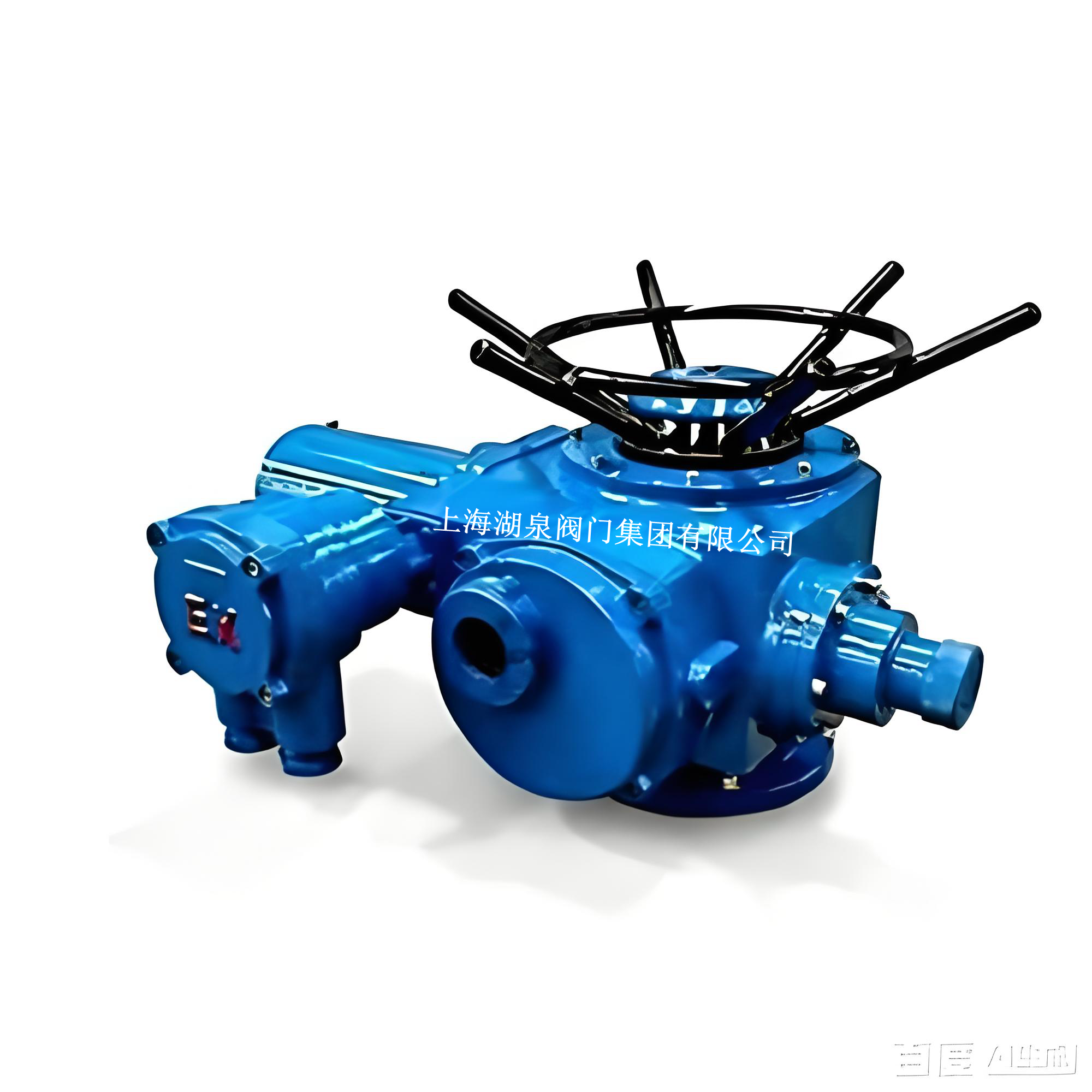 DZW120-18防爆型閥門(mén)電動(dòng)裝置(電壓等級(jí)：